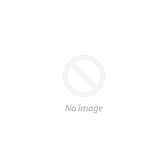 Insights for Student Success and Engagement Institute